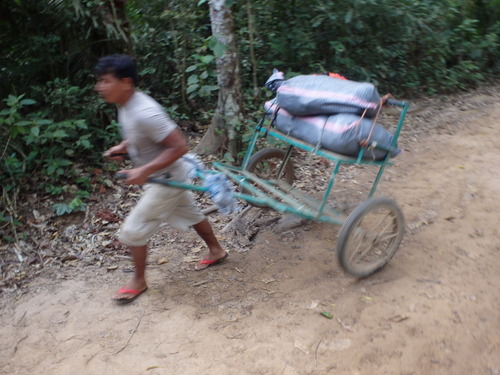 A human operated pull cart.